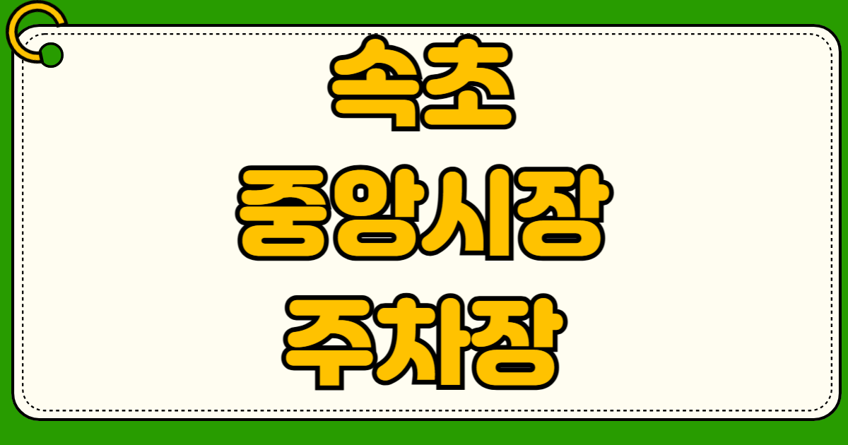 속초 중앙시장 주차장 무료 주차 찾기 청초호반로 도로 주차부터 속초시청 주말 무료 이용법