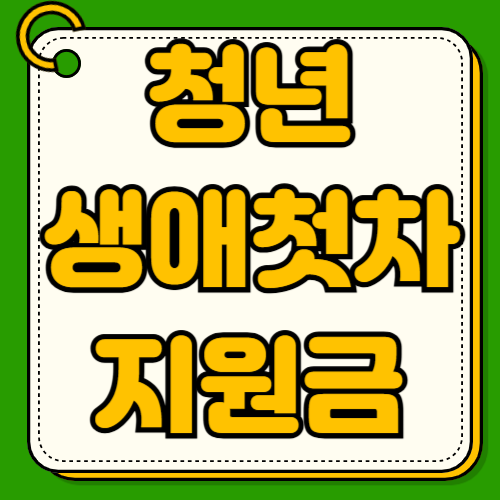 청년 생애 첫차 지원금 2026 전기차 보조금 국비 추가지원 지자체별 차이 사회초년생 전기차 추천