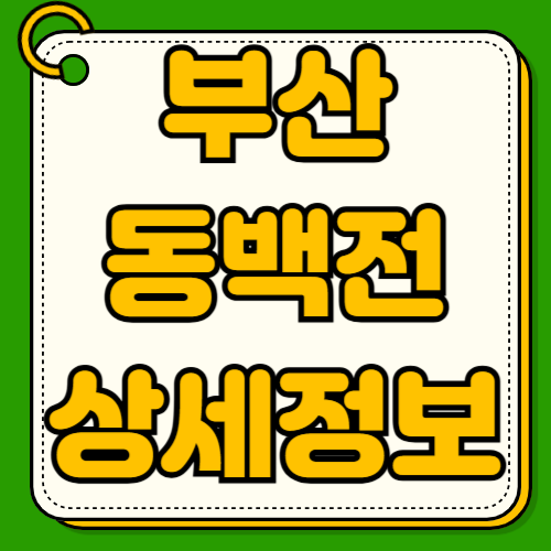 부산 동백전 가맹점 조회 방법 사용처 앱 실시간 확인 업종별 사용 가능 매장 충전 할인 혜택