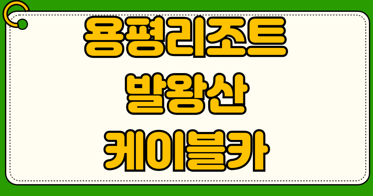 용평리조트 발왕산 케이블카 기상 악화 운행 중단 조회 및 환불 규정 완벽 스카이워크