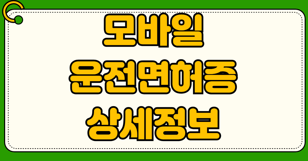2026년 모바일 운전면허증 발급 방법 IC 카드 발급료 QR 코드 차이점 비교 술집 편의점 신분증 인정
