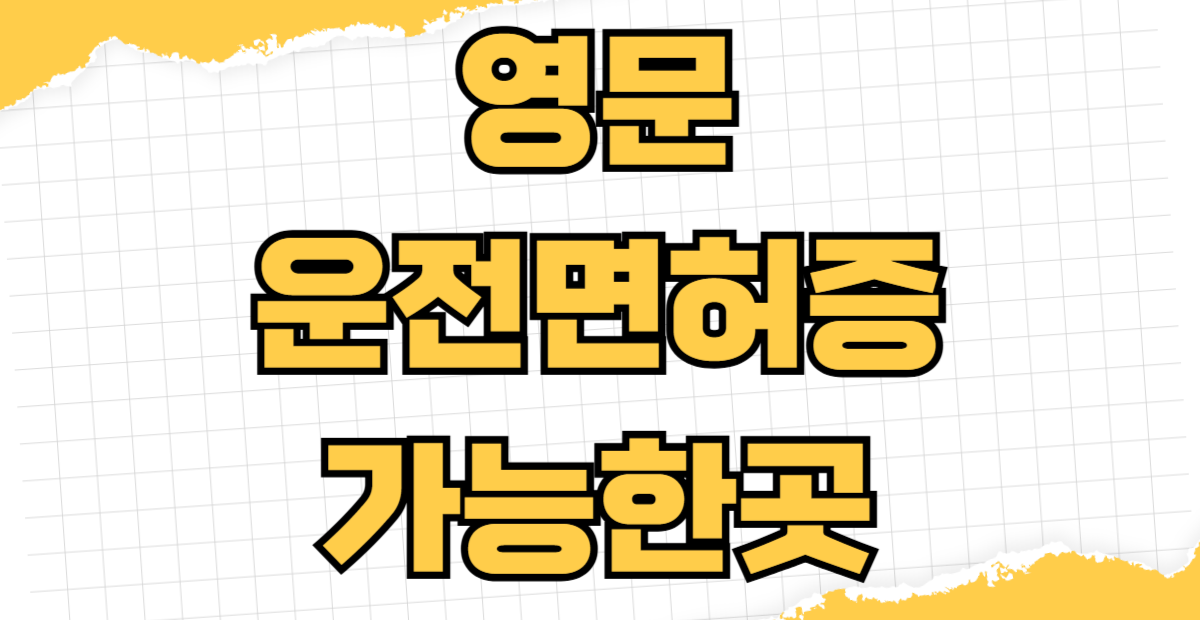 영문 운전면허증 뒷면 운전 가능한 나라 70개국 국제운전면허증 차이 일본 미국 유럽