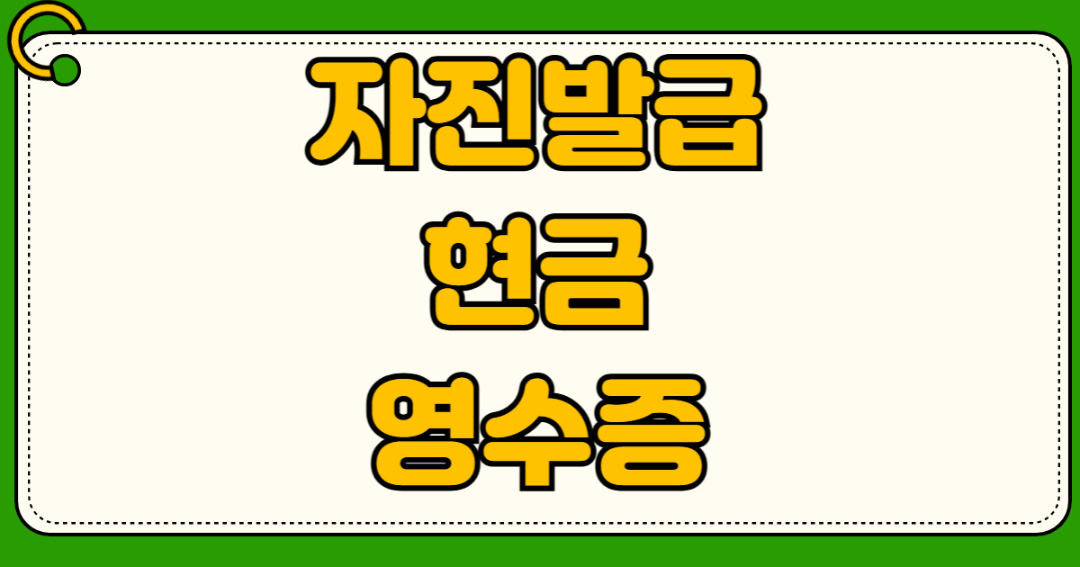 자진발급 현금영수증 010-000-1234 뜻과 소득공제 반영 여부 확인 방법 홈택스 등록