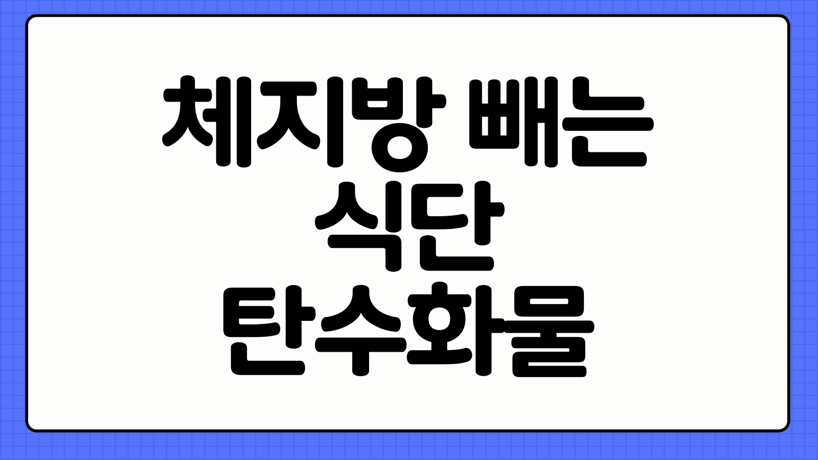 체지방 빼는 식단 탄수화물 제한 저칼로리 하루 식단 구성