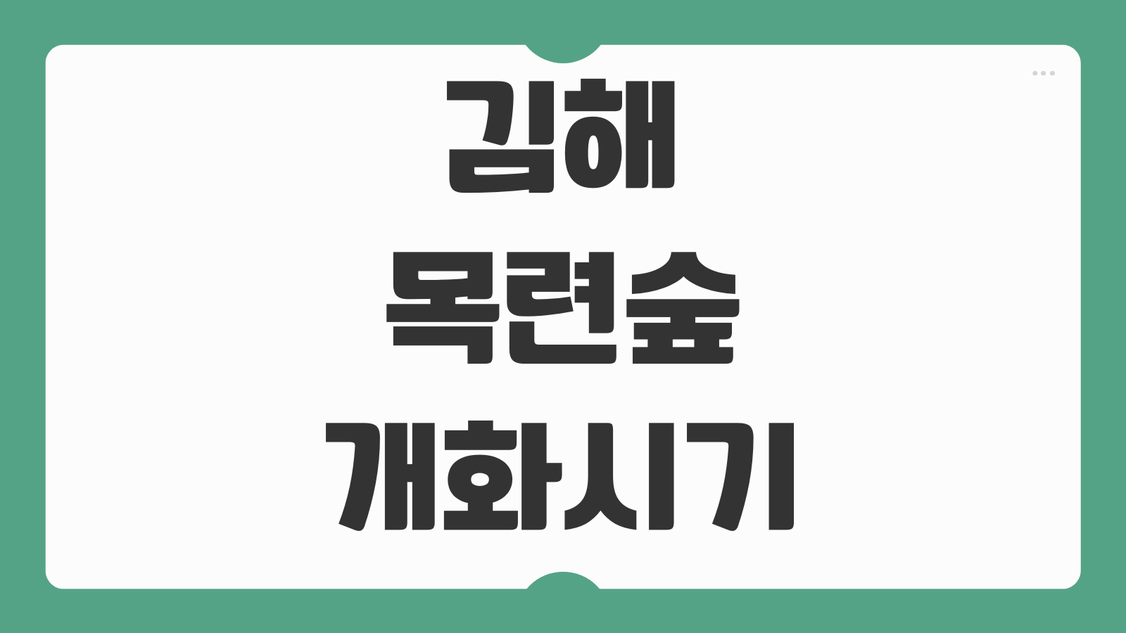 김해 목련숲 위치 개화시기 포토존 방문 꿀팁 주차 안내 산책코스