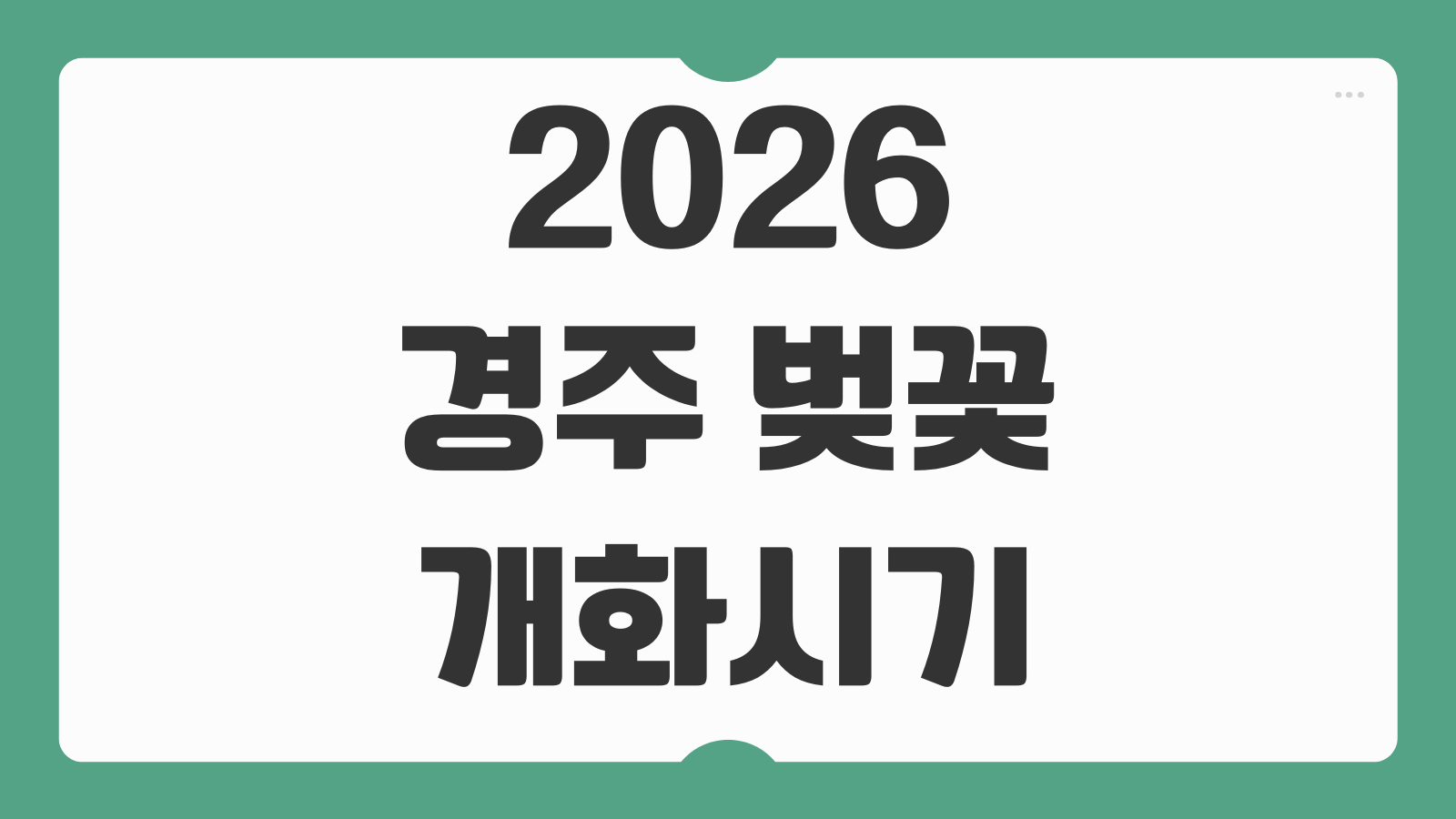 2026 경주 벚꽃 개화시기 명소 드라이브 코스 야경 주차팁 벚꽃터널
