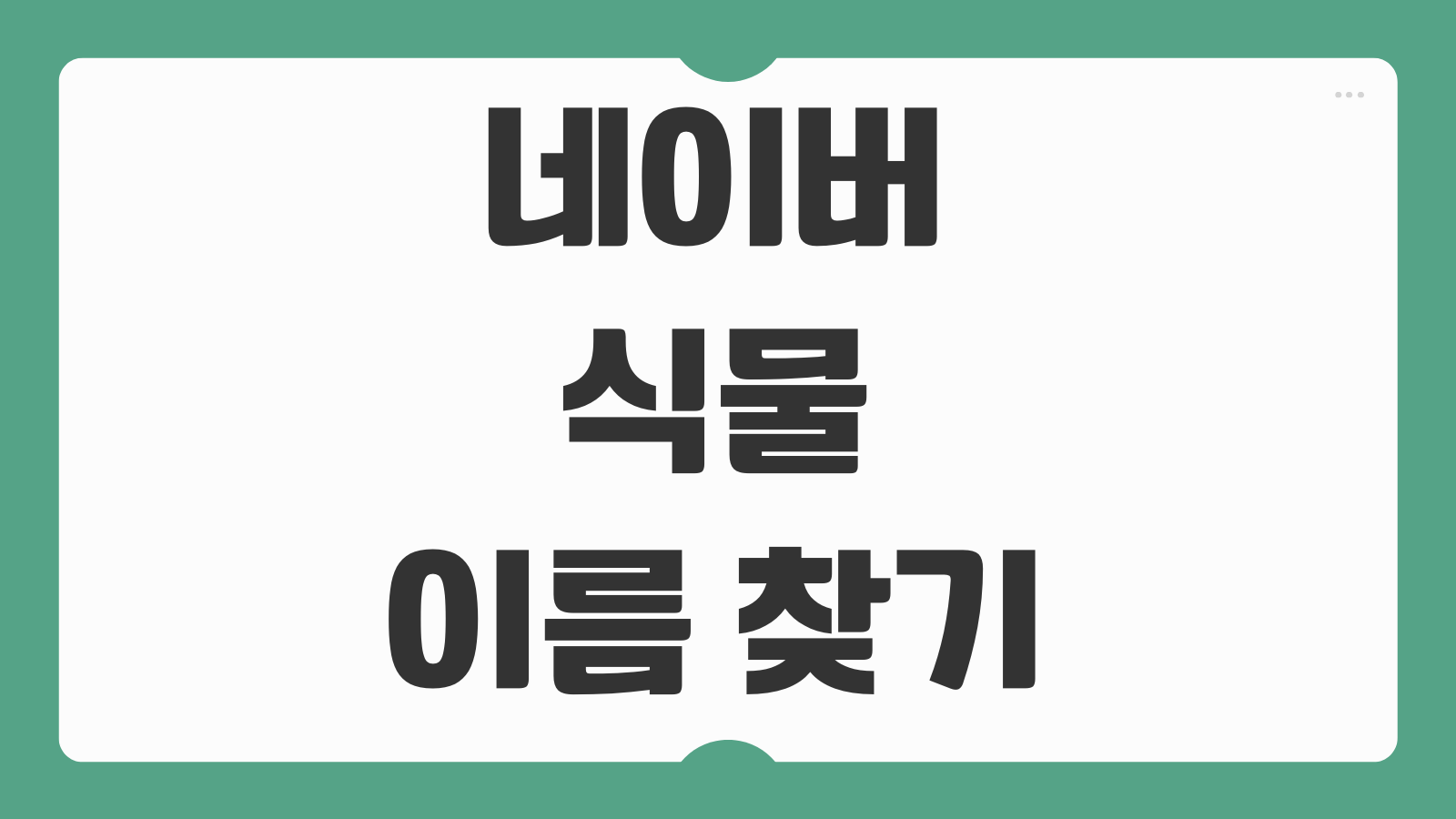 네이버 식물 이름 찾기 꽃 검색 방법 사진으로 식물이름 확인하는 초간단 사용법 안내