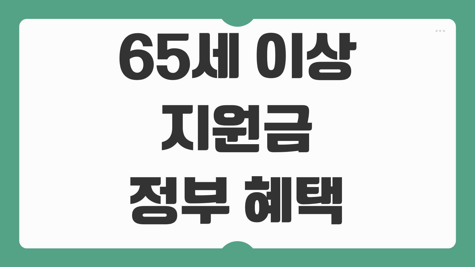 65세 이상 지원금 정부 혜택 복지포인트 신청 방법 교통 통신 의료 지원 총액