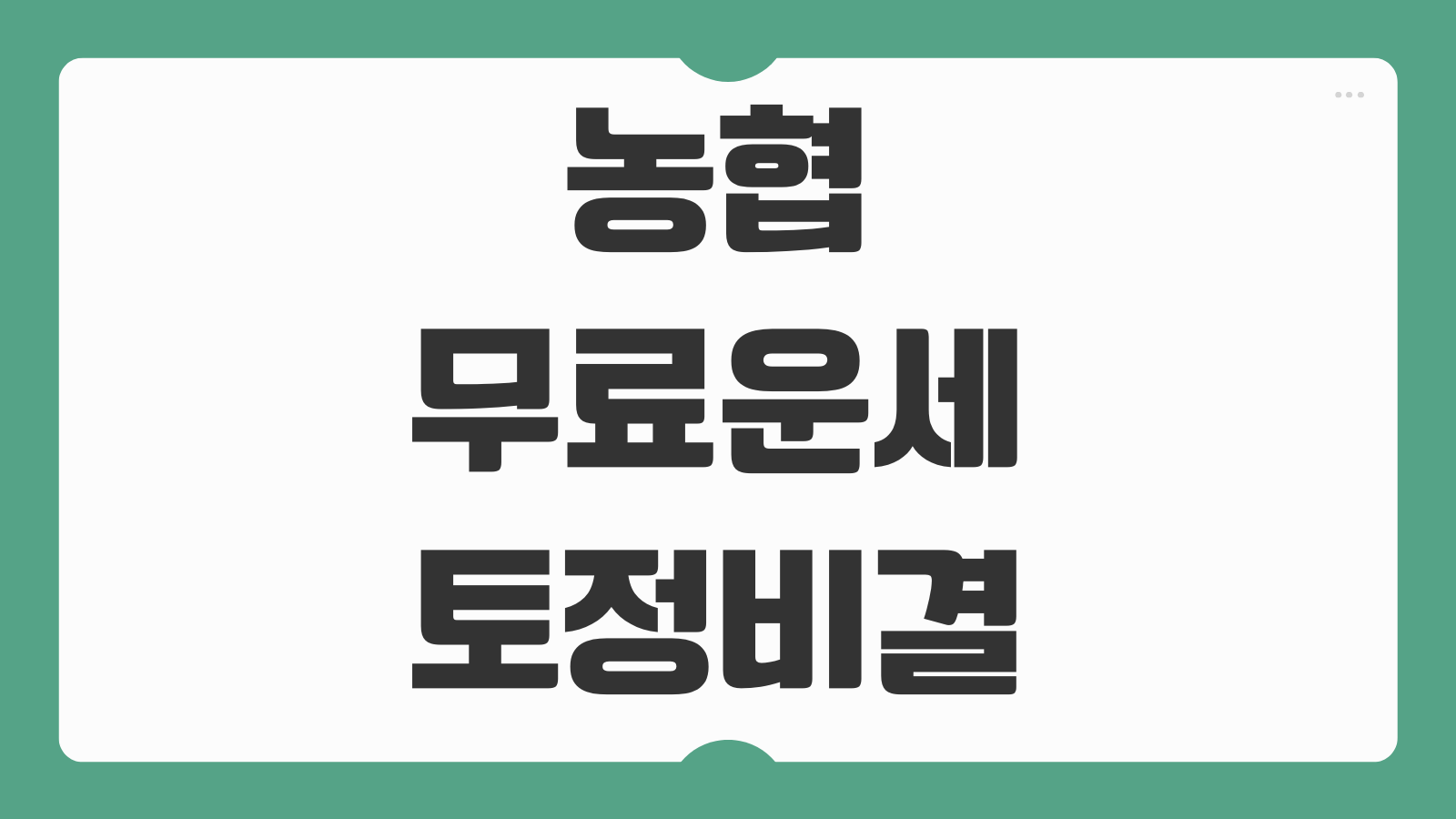 2026년 농협 무료운세 토정비결 병오년 정통 오늘의 운세 보는법 총정리