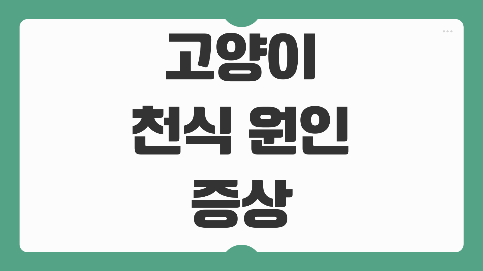 고양이 천식 원인 증상 치료 방법 흡입기 사용 예방 관리 병원 진료 포인트