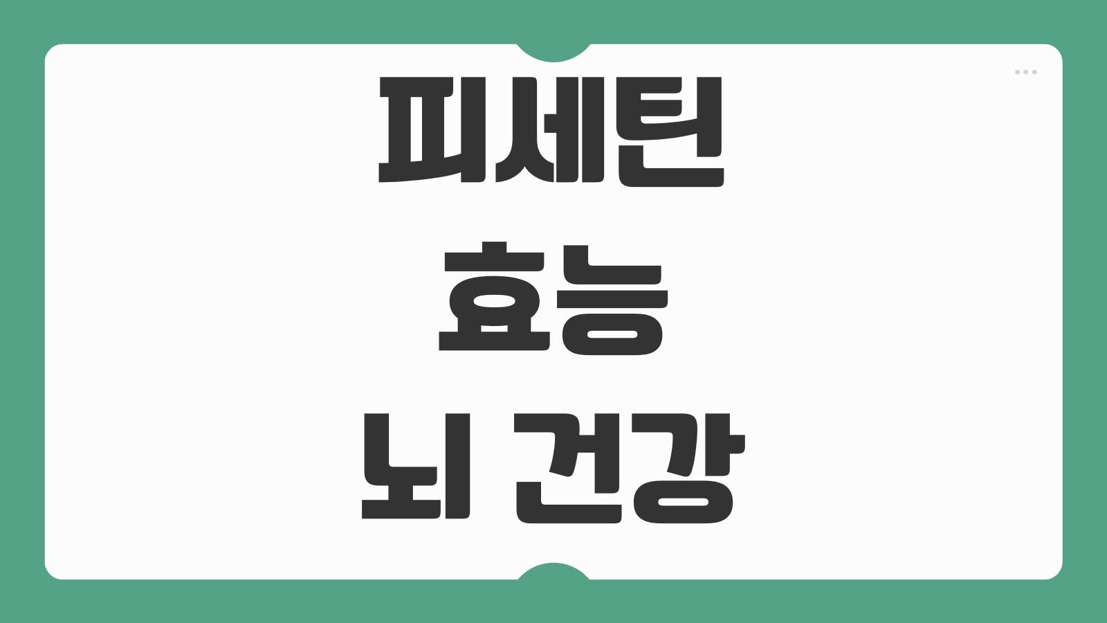 피세틴 효능 뇌 건강 항산화 작용과 복용량 부작용까지 꼭 알아둘 내용