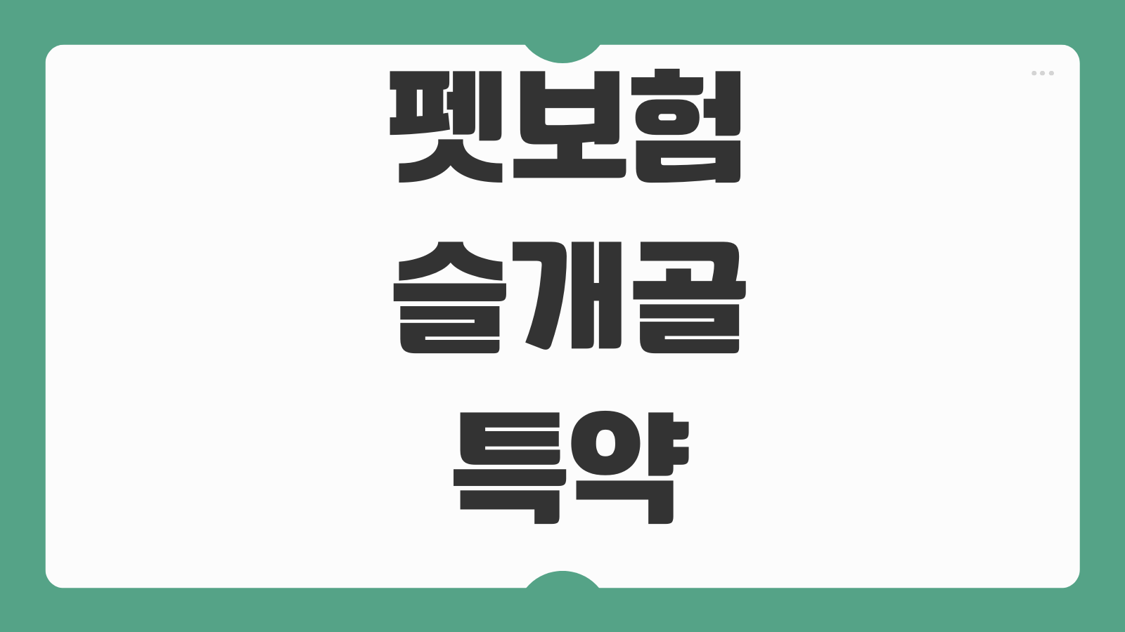 펫보험슬개골 특약 보장범위 수술비 자기부담금 보험료 비교방법