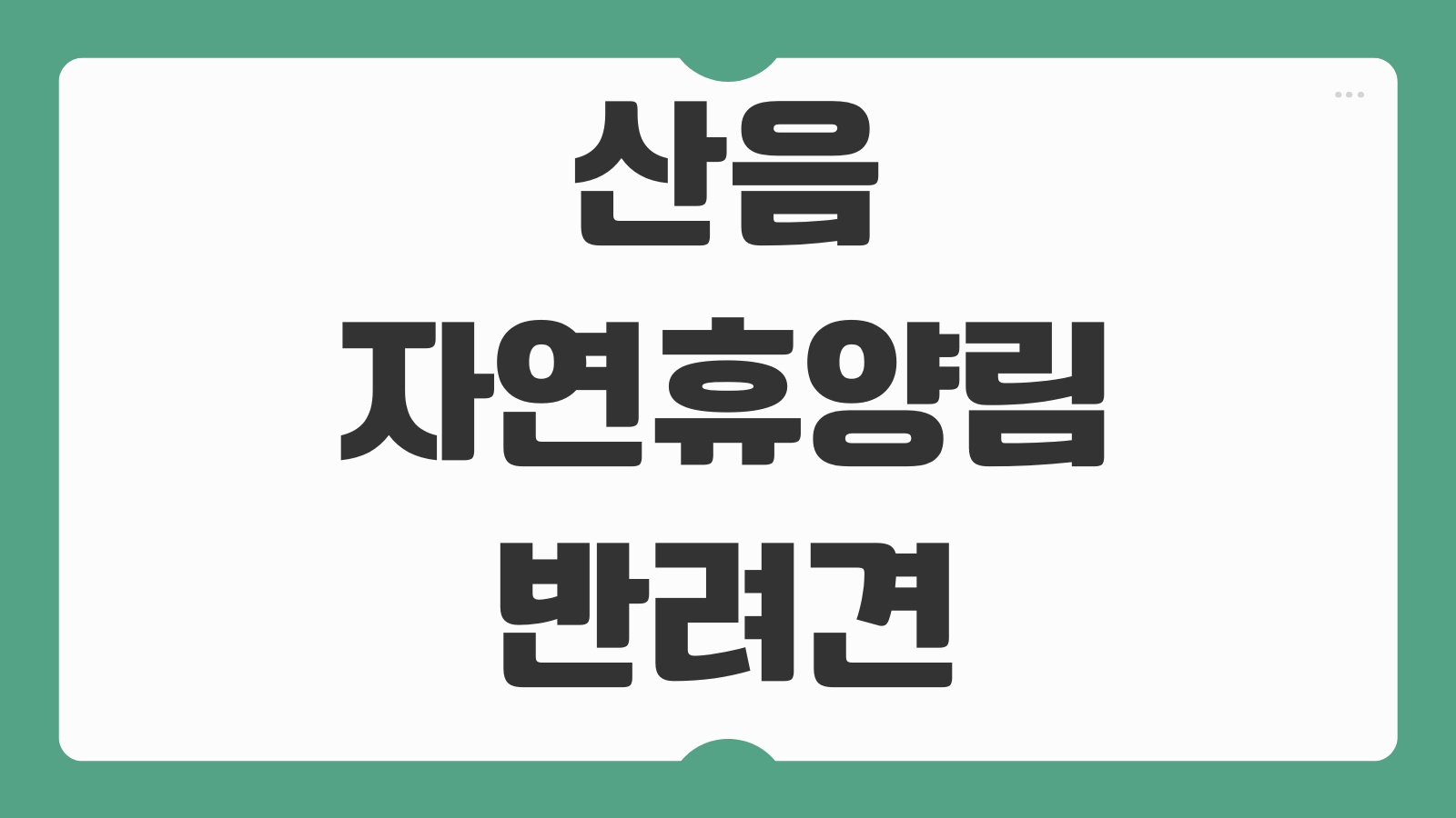 산음자연휴양림 반려견 객실 예약방법 계곡 산책로 숙소배치 주차장 이용후기