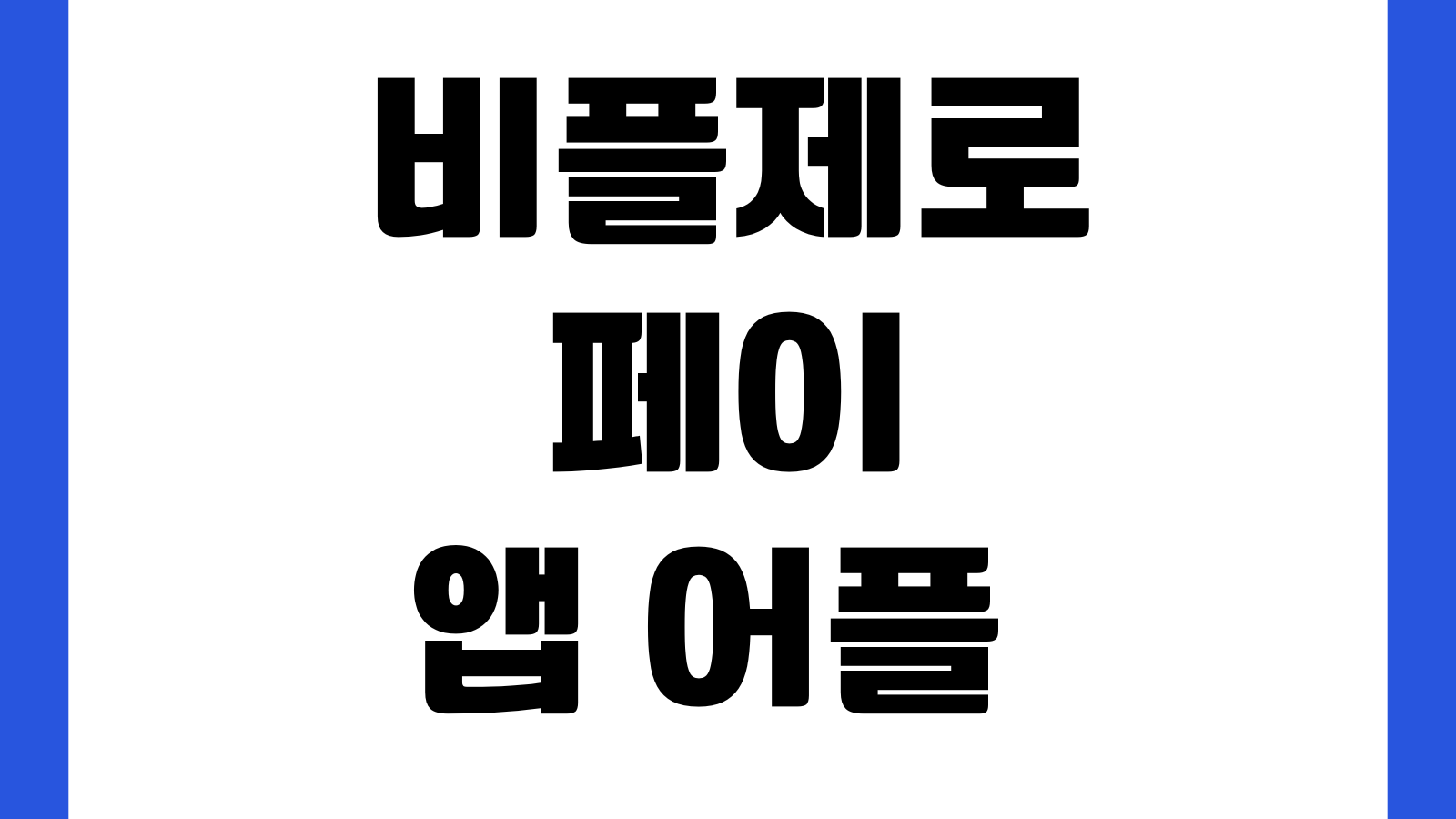 비플페이 비플제로페이 앱 어플 설치방법 다운로드 홈페이지 바로가기 결제사용 안내