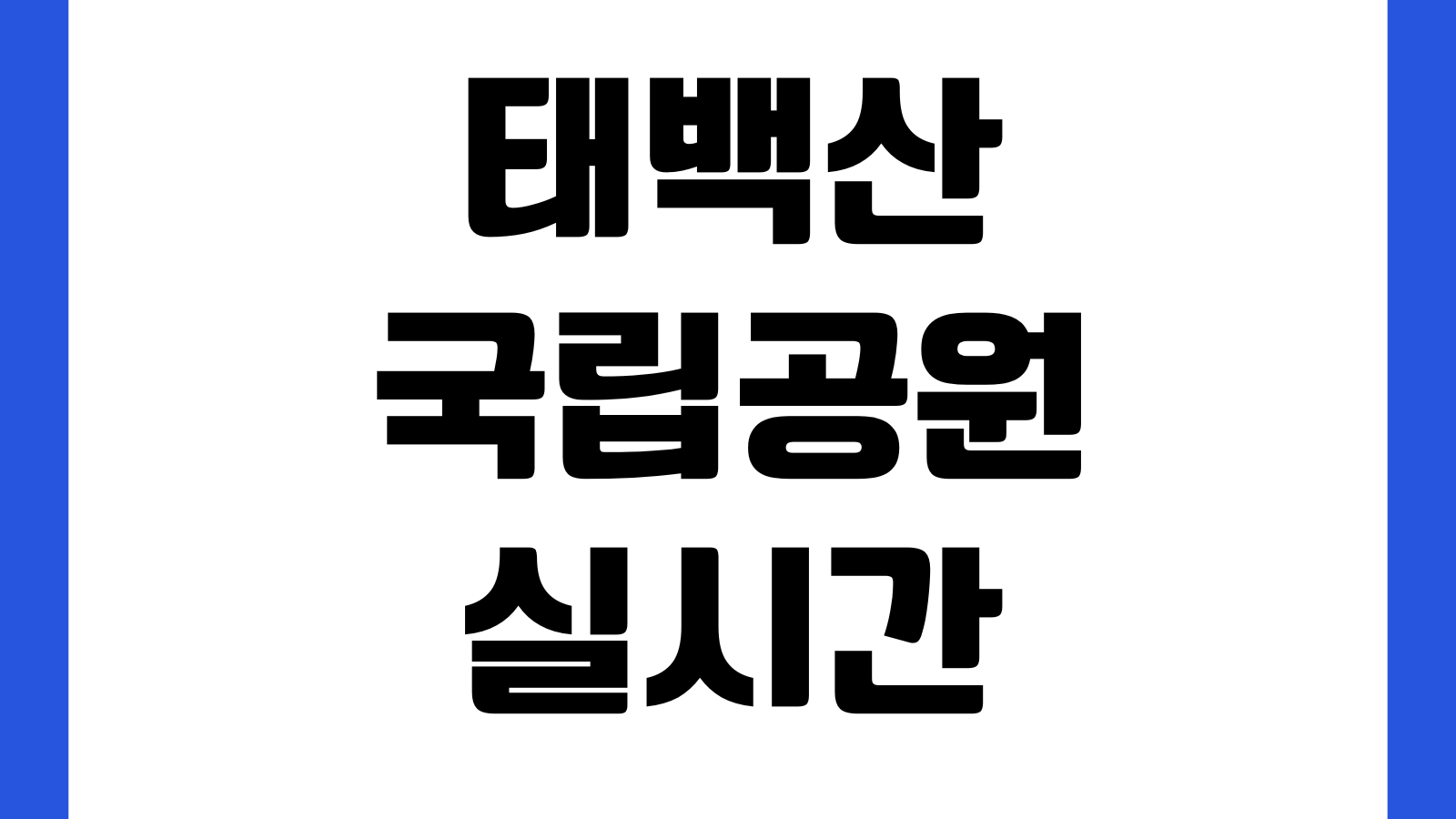 태백산 국립공원 실시간 CCTV 바로보기 날씨 적설상황 탐방로 통제구간 확인