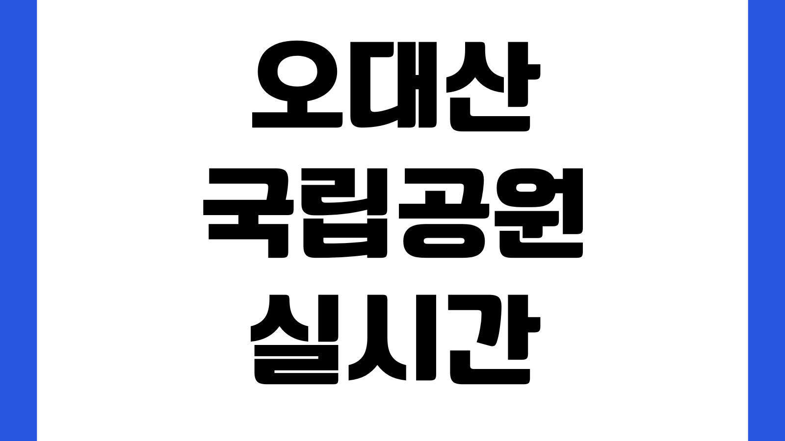 오대산 국립공원 실시간 CCTV 바로보기 날씨 탐방로 개방상황 주차혼잡 확인